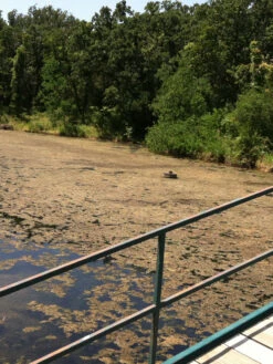 Blast, 2,500 Gallon, 5 Packets -Garden Supplies Shop 37425 001v 1 1