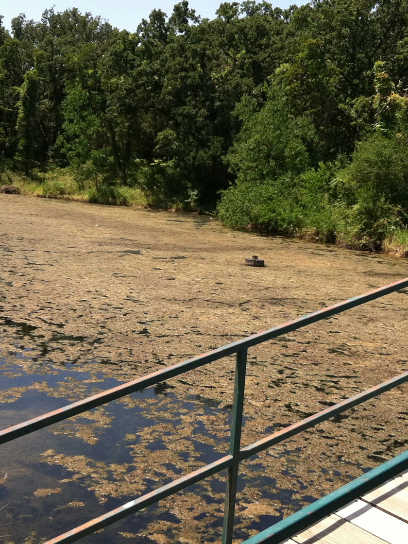 Blast, 125,000 Gallon, 12 Packets 4 Blast, 125,000 Gallon, 12 Packets - Image 2