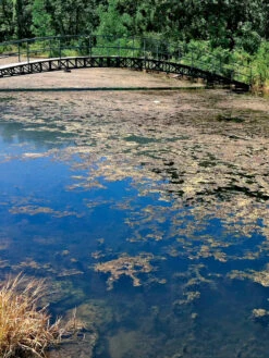 Aquasphere Pond Cleaners -Garden Supplies Shop 37425 002ed 1