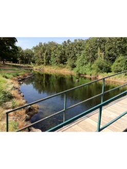 Blast, 125,000 Gallon, 12 Packets 7 Blast, 125,000 Gallon, 12 Packets -Garden Supplies Shop 37425 002v 1