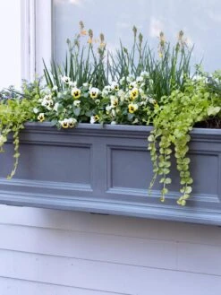 Fairfield Self-Watering Window Box, 3’ -Garden Supplies Shop 39 344 9360 tif