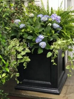 Fairfield Self-Watering Square Planter, 20” X 20” -Garden Supplies Shop 39 618 205V tif