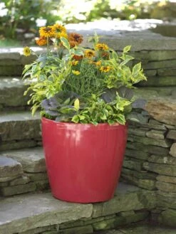 Viva Round Self-Watering Rolling Planter, 17.25” Diameter -Garden Supplies Shop 39326 046 tif