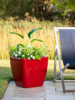 Viva Square Self-Watering Rolling Planter, 20" Diameter, Set Of 2 17 Viva Square Self-Watering Rolling Planter, 20" Diameter, Set Of 2 -Garden Supplies Shop 3 4 crop 8612930 0035 tif