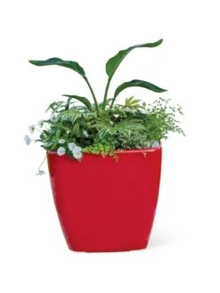 Viva Square Self-Watering Rolling Planter, 20" Diameter, Set Of 2 20 Viva Square Self-Watering Rolling Planter, 20" Diameter, Set Of 2 -Garden Supplies Shop 3 4 crop 8612930 0037 tif