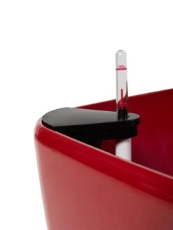 Viva Square Self-Watering Rolling Planter, 20" Diameter, Set Of 2 21 Viva Square Self-Watering Rolling Planter, 20" Diameter, Set Of 2 -Garden Supplies Shop 3 4 crop 8612930 0107