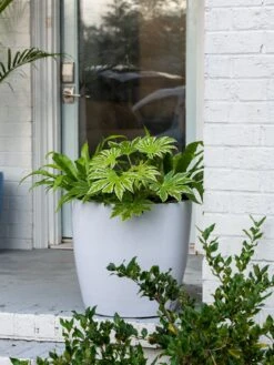 Viva Round Self-Watering Rolling Planter, 20" Diameter, Set Of 2 -Garden Supplies Shop 3 4 crop 8612933 0025 tif