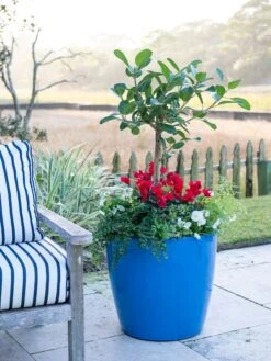 Viva Round Self-Watering Rolling Planter, 20" Diameter, Set Of 2 -Garden Supplies Shop 3 4 crop 8612933 5312 tif