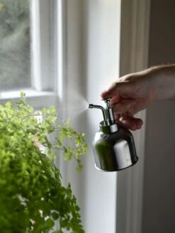 Indoor Plant Mister 16 Indoor Plant Mister -Garden Supplies Shop 3 4 crop 8612962 02V tif