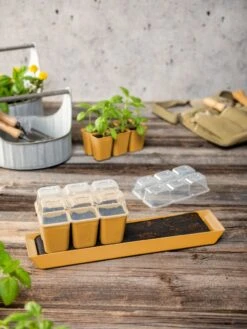 Gardener's Best® Humidity Dome, Set Of 2 -Garden Supplies Shop 3 4 crop 8613067 10063