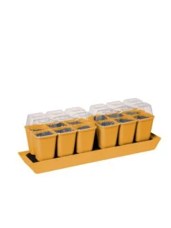 Gardener's Best® Humidity Dome, Set Of 2 -Garden Supplies Shop 3 4 crop 8613067 5879 tif