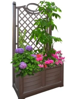 Separate Flower Box With Trellis -Garden Supplies Shop 3 4 crop 8613626 04V