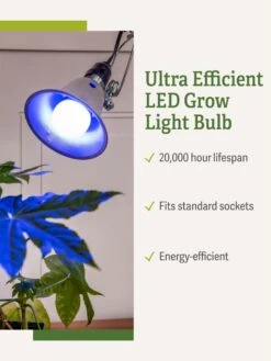 Miracle LED® Grow Light Bulb, Blue -Garden Supplies Shop 3 4 crop Miracle Bulb Blue 1