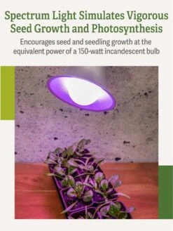 Miracle LED® Grow Light Bulb, Red And Blue -Garden Supplies Shop 3 4 crop Miracle Bulb RB 3