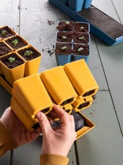 Gardener's Best® XL Seed Starting Kit -Garden Supplies Shop 40 135 6188