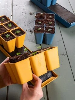 Coco Coir Seed Starting Mix -Garden Supplies Shop 40 135 6192