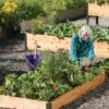3' Raised Beds -Garden Supplies Shop 8586762 3453 tif