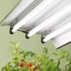 High Intensity Light Fixture 1 High Intensity Light Fixture -Garden Supplies Shop 8587079 027 tif