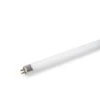 T5 Replacement Bulb -Garden Supplies Shop 8587296 156 tif
