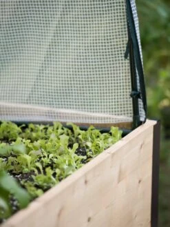 Elevated Planter Box, Frame And 2 Covers Kit, 2' X 8' 10 Elevated Planter Box, Frame And 2 Covers Kit, 2' X 8' -Garden Supplies Shop 8587631 265 tif