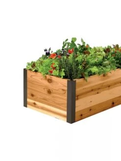 Deep Root Raised Beds, 14" Deep 2' Wide -Garden Supplies Shop 8587798 001E 1