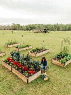 Deep Root Raised Beds, 14" Deep 4' Wide -Garden Supplies Shop 8587813 505 tif