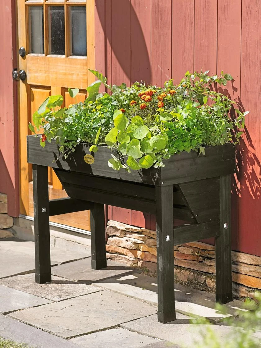 VegTrug® Wallhugger, 18" X 40" 4 VegTrug® Wallhugger, 18" X 40" - Image 2