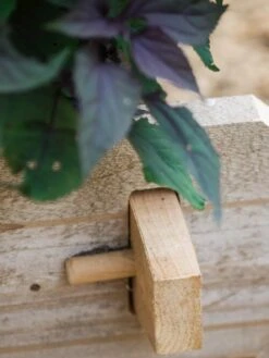 Farmstead Cedar Raised Garden Beds, 2' -Garden Supplies Shop 8588144 12V tif