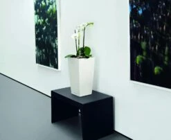 Lechuza® Cubico Color Tall Self-Watering Planters -Garden Supplies Shop 8589485 03V tif