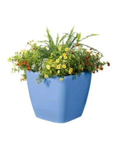 Viva Square Self-Watering Rolling Planter, 14" Diameter 9 Viva Square Self-Watering Rolling Planter, 14" Diameter -Garden Supplies Shop 8589777BL 6080 tif