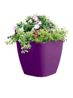 Viva Square Self-Watering Rolling Planter, 17.5" Diameter -Garden Supplies Shop 8589778PR 6126 tif