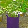 Gardener's Best® Potato Grow Bag -Garden Supplies Shop 8589785PR 4191 potato grow bags with handles tif