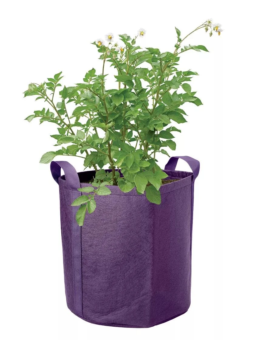 Gardener's Best® Potato Grow Bag 4 Gardener's Best® Potato Grow Bag - Image 2