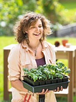 Growease Seed Starter Kit -Garden Supplies Shop 8589987 0446 tif