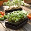 Growease Seed Starter Kit -Garden Supplies Shop 8589987 1114 seed starting tif