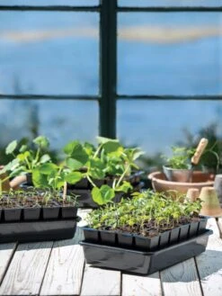 Growease Seed Starter Kit -Garden Supplies Shop 8589987 7871 tif