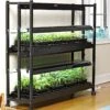 2-Tier SunLite® Garden 1 2-Tier SunLite® Garden -Garden Supplies Shop 8590049 2489 grow lights with two shelves large tif