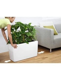 Lechuza® Cararo Rectangular Indoor Planter With Casters -Garden Supplies Shop 8590295 03v