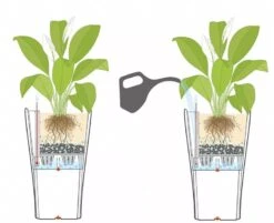 Lechuza® Delta Premium Self-Watering Planters 11 Lechuza® Delta Premium Self-Watering Planters -Garden Supplies Shop 8590299 07V tif