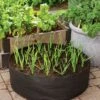 Garlic Grow Bag Kit -Garden Supplies Shop 8590676 0072 growing garlic grow bag kit