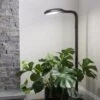 Agrobrite Floor Plant Lamp -Garden Supplies Shop 8592053 0215 tif