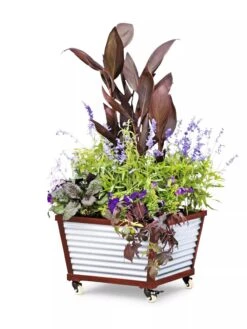 Galvanized Self-Watering Planters -Garden Supplies Shop 8592176 5067 tif