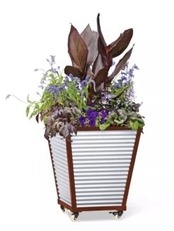 Galvanized Self-Watering Planters -Garden Supplies Shop 8592177 5066 tif