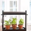 Micro Grow Light Garden -Garden Supplies Shop 8593235 2290 tif