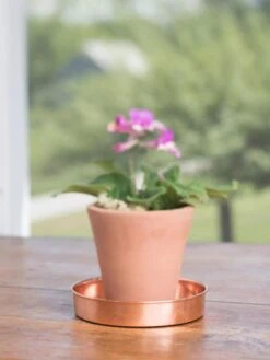 Extra Small Round Copper Plant Tray, 8" 14 Extra Small Round Copper Plant Tray, 8" -Garden Supplies Shop 8593528 4522 tif