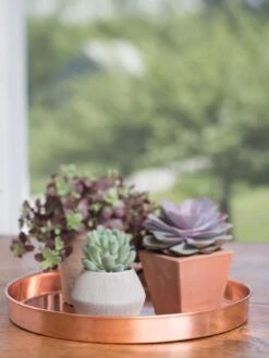 Large Round Copper Plant Tray, 14" -Garden Supplies Shop 8593531 4518 tif