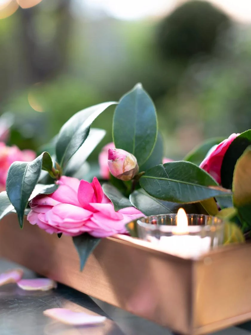 Rectangular Copper Plant Tray, 18"x4" 6 Rectangular Copper Plant Tray, 18"x4" - Image 4