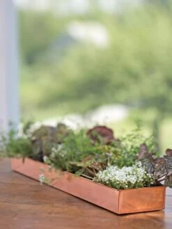 Rectangular Copper Plant Tray, 24" X 5" -Garden Supplies Shop 8593533 4626 tif