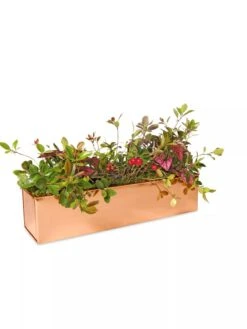 Tall Rectangular Copper Plant Tray, 18" X 5" X 4" -Garden Supplies Shop 8593534 2899 tif