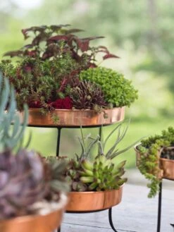 Small Round Copper Plant Tray, 10" 8 Small Round Copper Plant Tray, 10" -Garden Supplies Shop 8593564 4399 tif